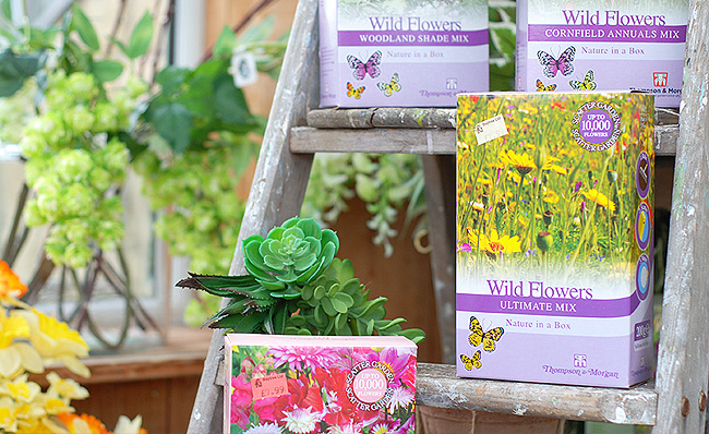 Baytree flowering bulbs