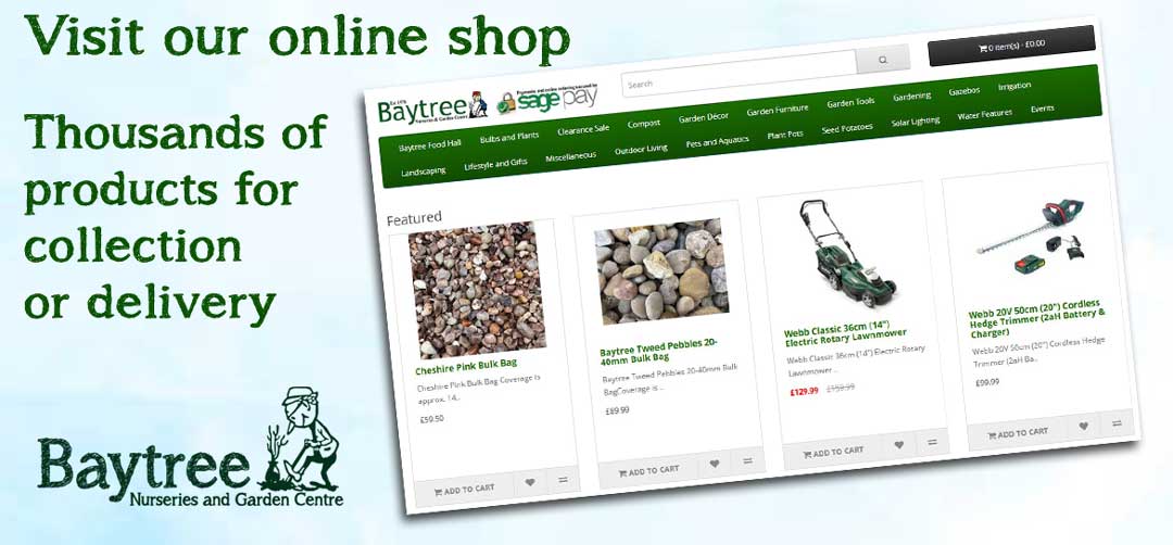 online shop