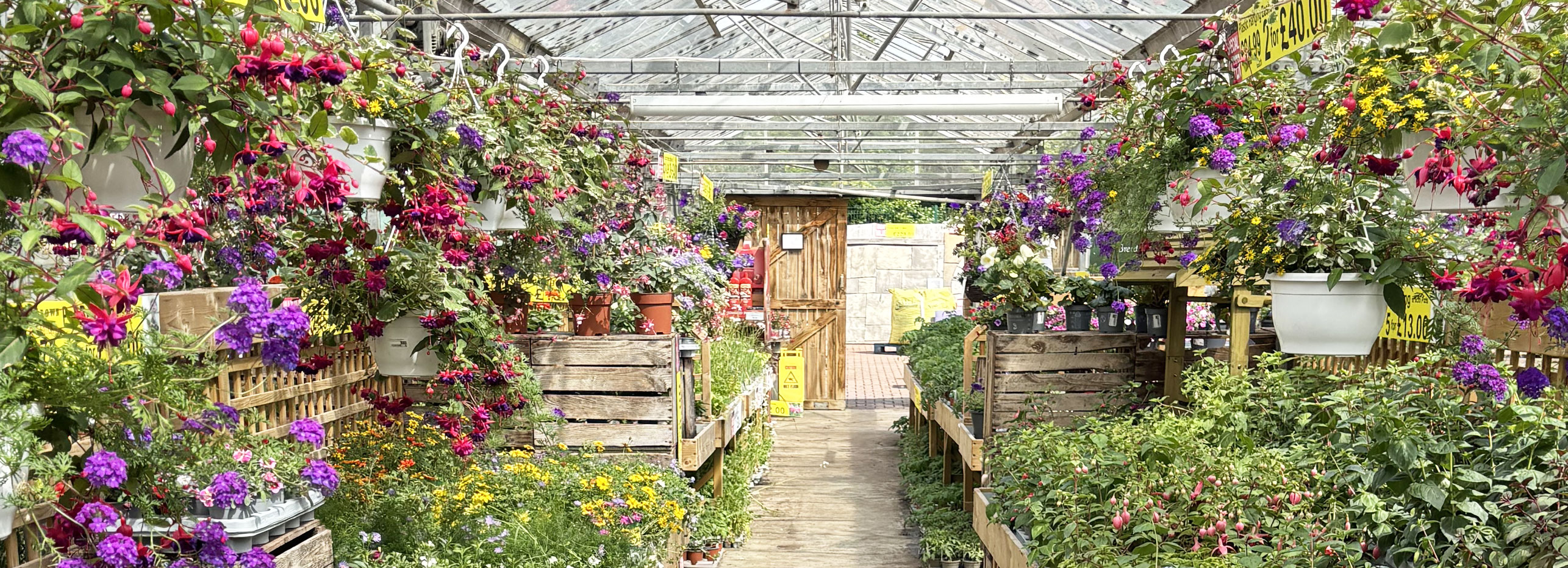 summer bedding