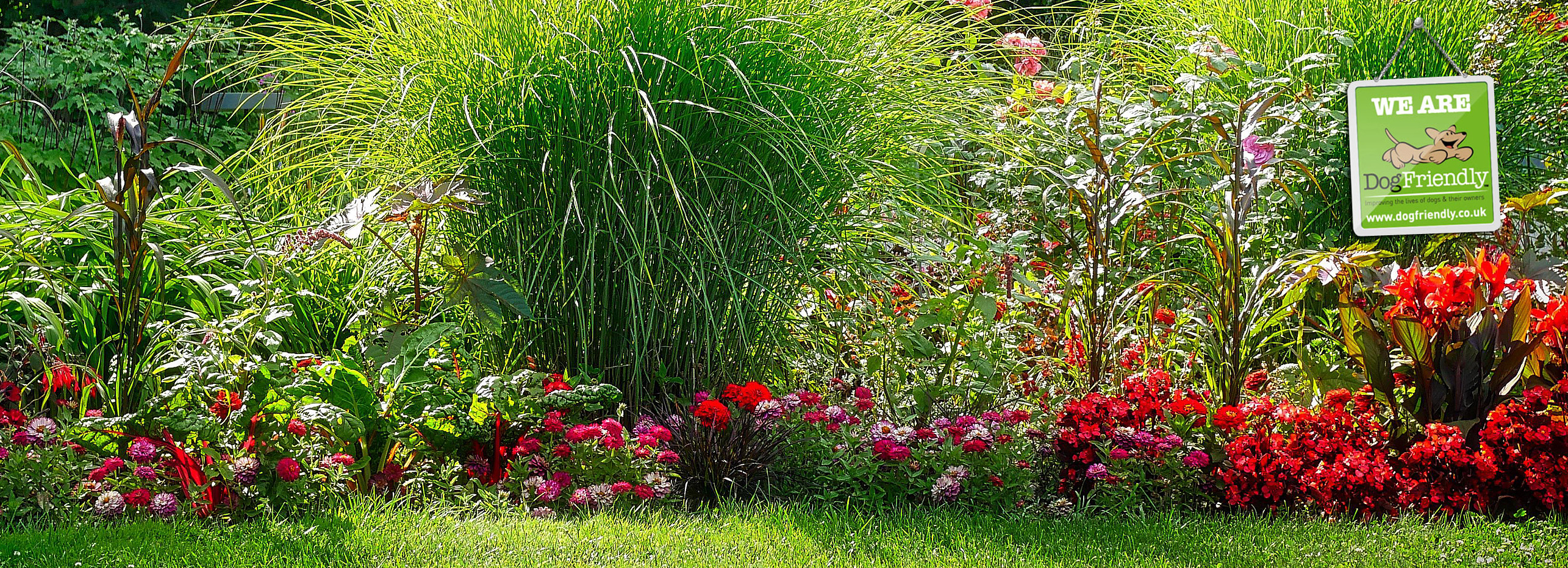 Baytree Garden Centre Banner 1